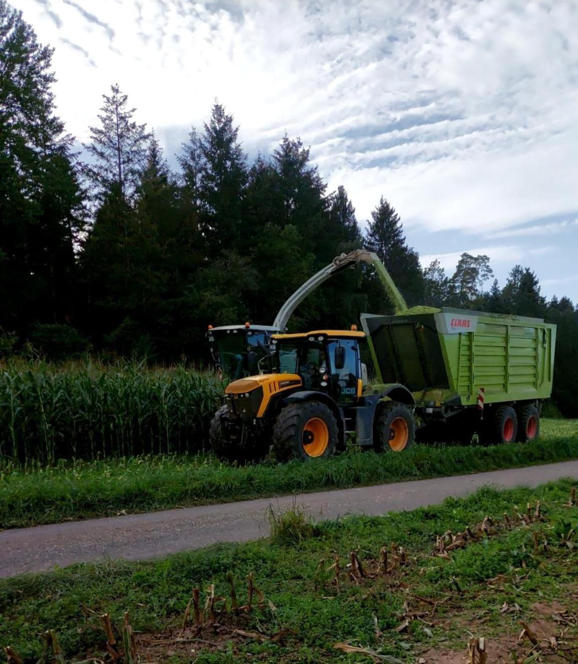 Ferienhof Harr Freudenstadt Bagian luar foto